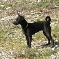 Photo de profil de Cybelle
