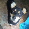 Photo de Elga