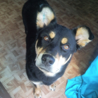 Photo de profil de Elga
