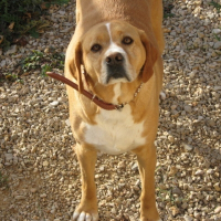 Photo de profil de Tessa