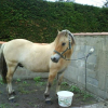 Photo de Jupiter