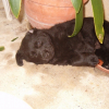 Photo de Djody