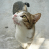 Photo de Salem