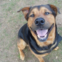 Photo de profil de Max