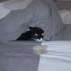 Photo de Filoute