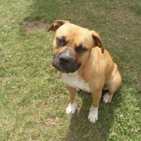 Photo de profil de Tania