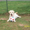 Photo de Casper