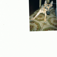 Photo de profil de Malbrouk