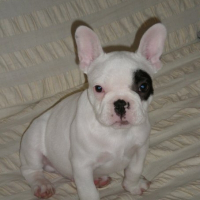 Photo de profil de Lilto
