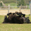 Photo de Keops