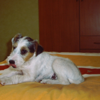 Photo de profil de Astro