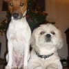 Photo de Roxy