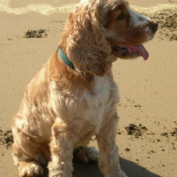 Photo de profil de Tina