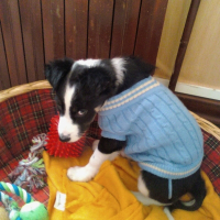 Photo de profil de Delfi