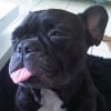 Photo de Enzo