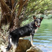 Photo de profil de D'jaine