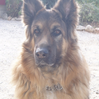 Photo de profil de Max