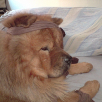 Photo de profil de Benji