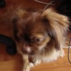 Photo de Pepito