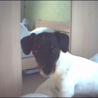 Photo de profil de Gamin