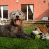 Photo de Titou