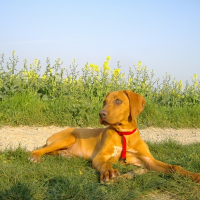 Photo de profil de Casper