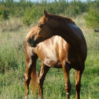 Photo de profil de Kiscool