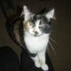 Photo de Lola