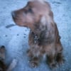 Photo de Uisty