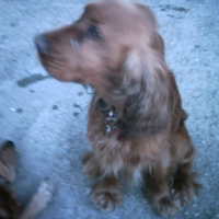 Photo de profil de Uisty