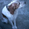 Photo de Toulouse
