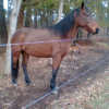 Photo de Gaetane du pilou