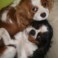 Photo de profil de Daisy