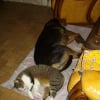 Photo de Triane 