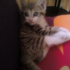 Photo de Angy