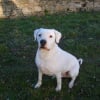 Photo de Nounours