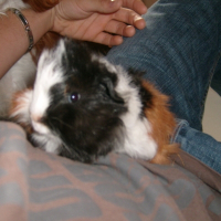 Photo de profil de Fiona
