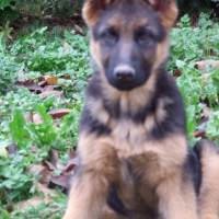 Photo de profil de Dyor