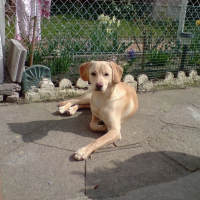 Photo de profil de Démone