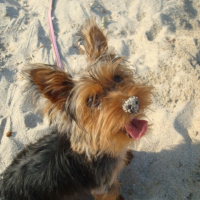 Photo de profil de Daisy