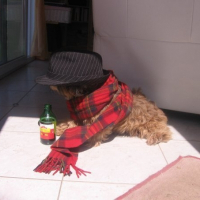 Photo de profil de Olive
