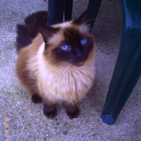 Photo de profil de Zouzou