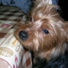Photo de Freddy
