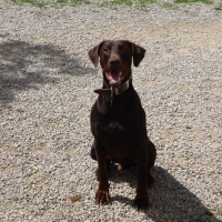 Photo de profil de Kaizer
