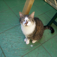 Photo de profil de Valou
