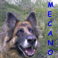 Photo de profil de Mécano