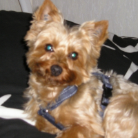 Photo de profil de Nénette