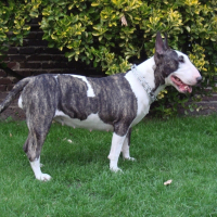 Photo de profil de Naho