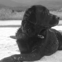 Photo de profil de Fidji