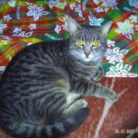 Photo de profil de Loulou